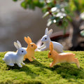 Rabbit Miniature Landscape Garden Decor Ornament Q38237