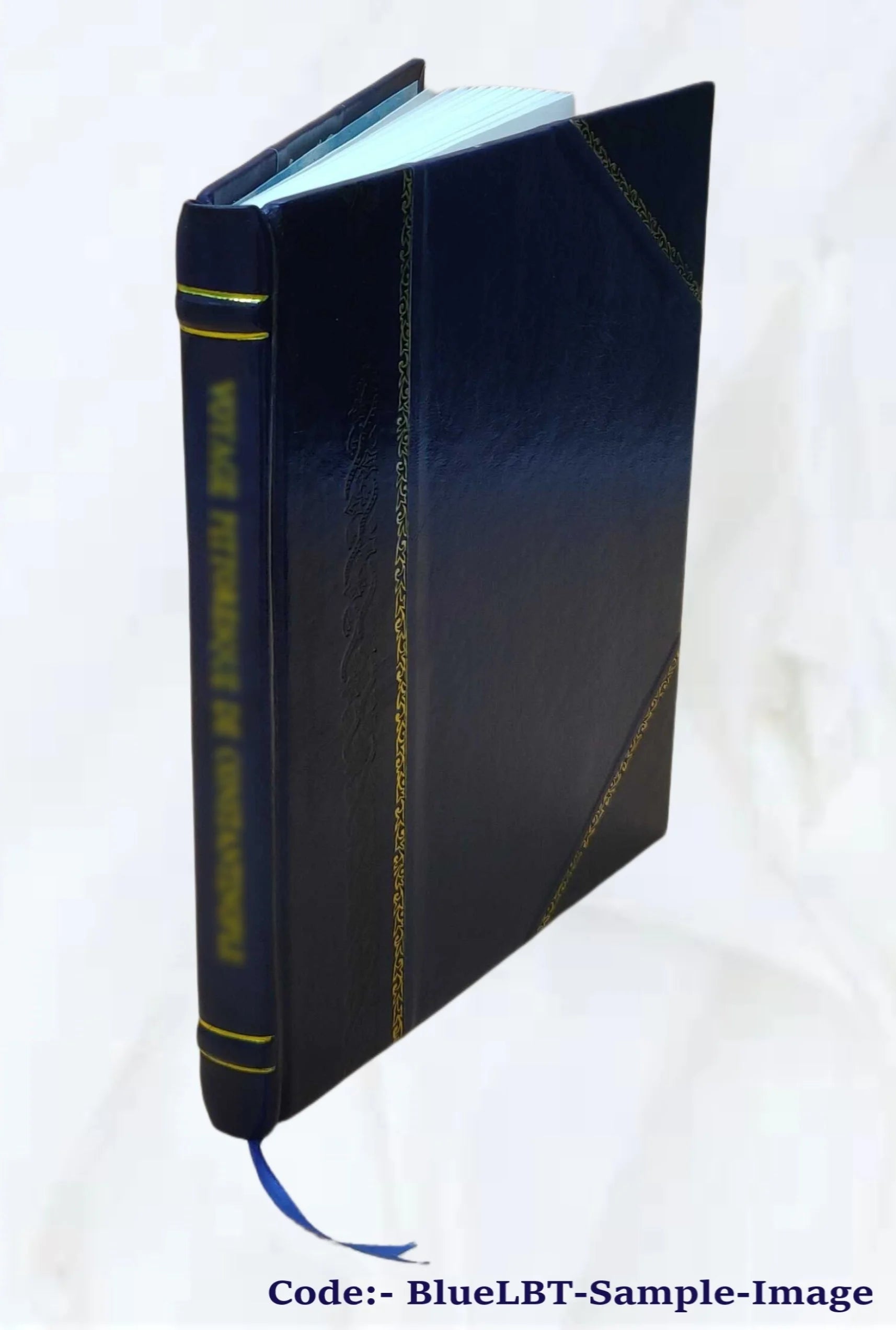 1913 Leather Bound Book S73916