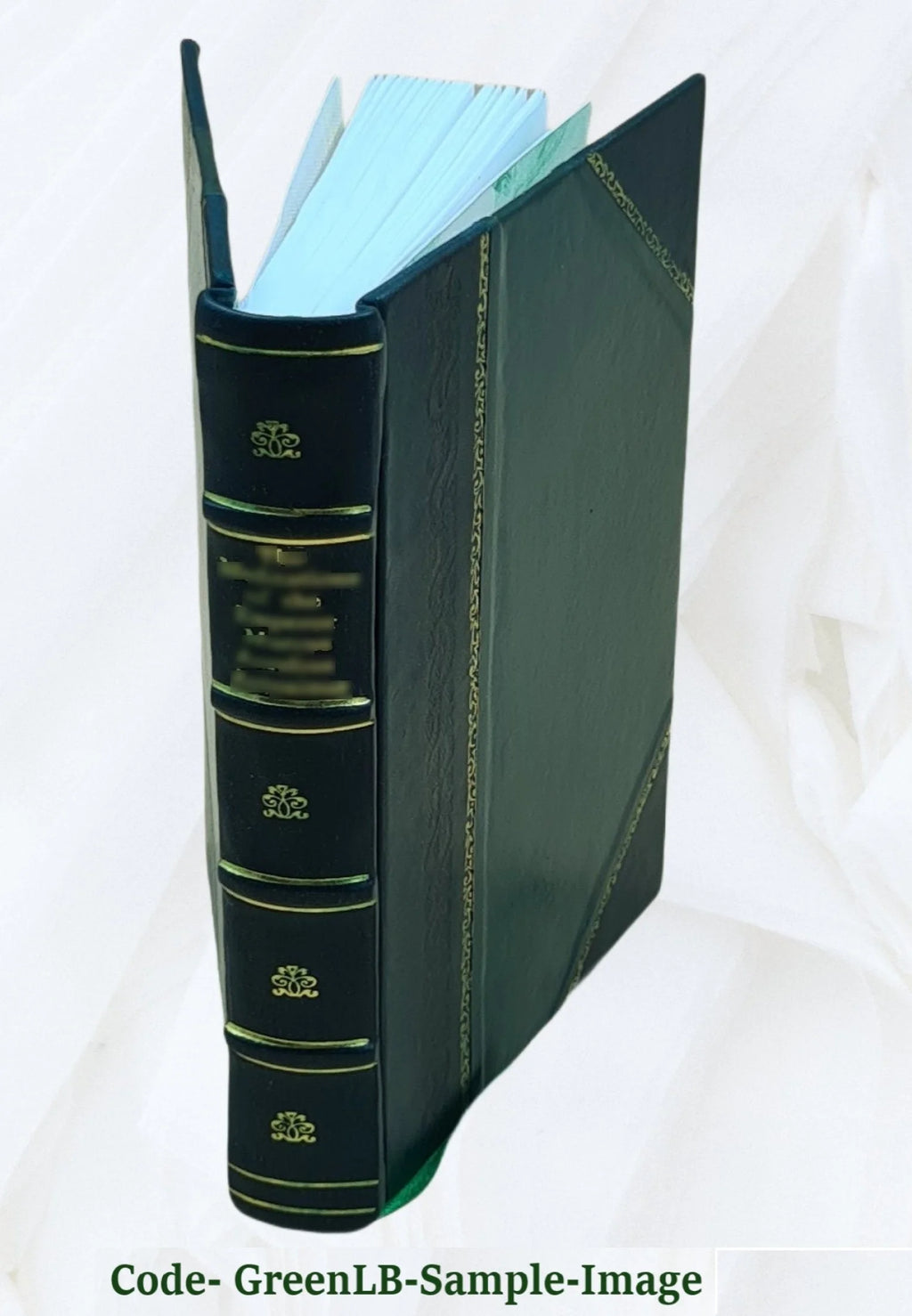 Leather Bound Novel A5747