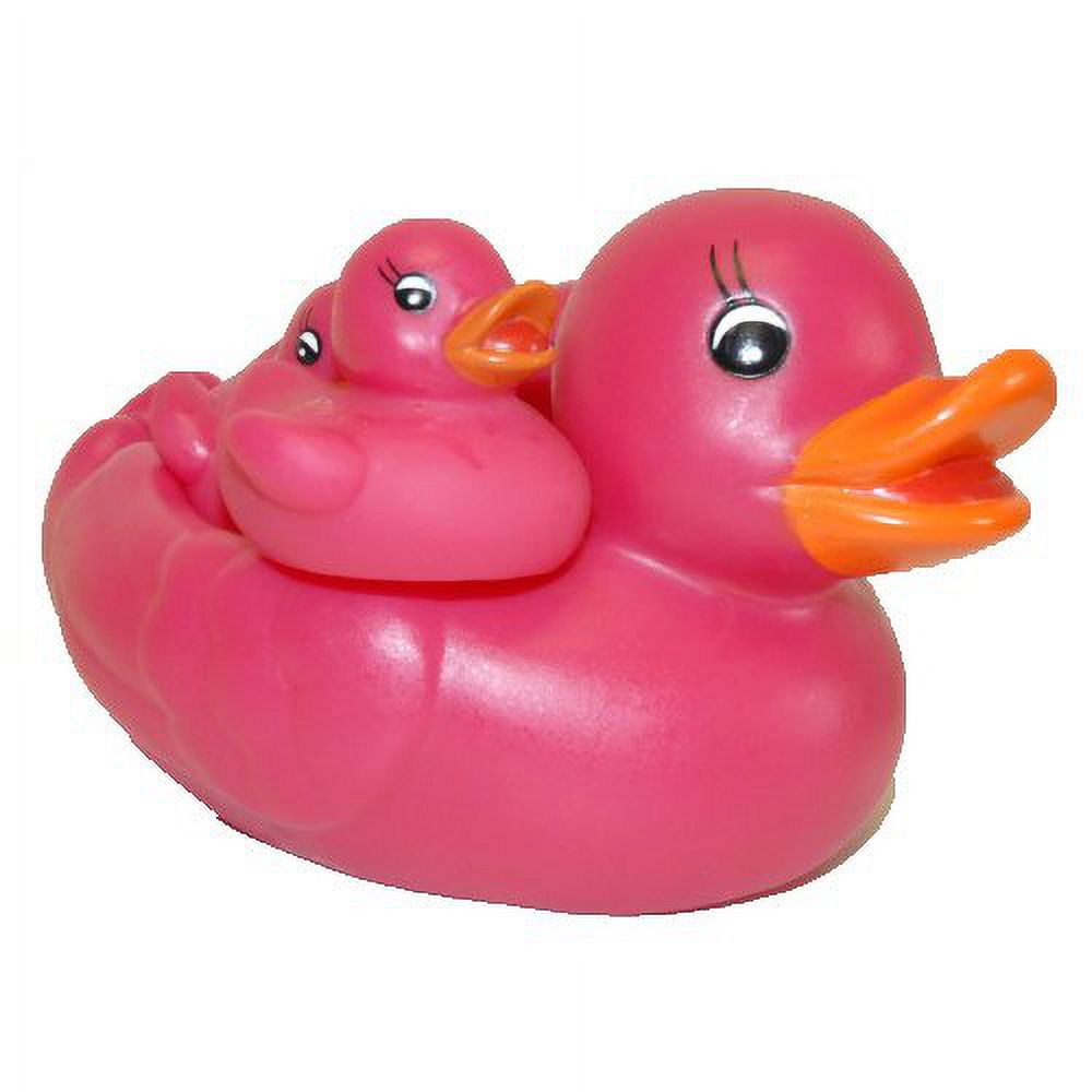 Fuchsia Rubber Duck Family Set of 4 N980941