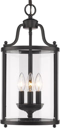 Black Caged Foyer R265