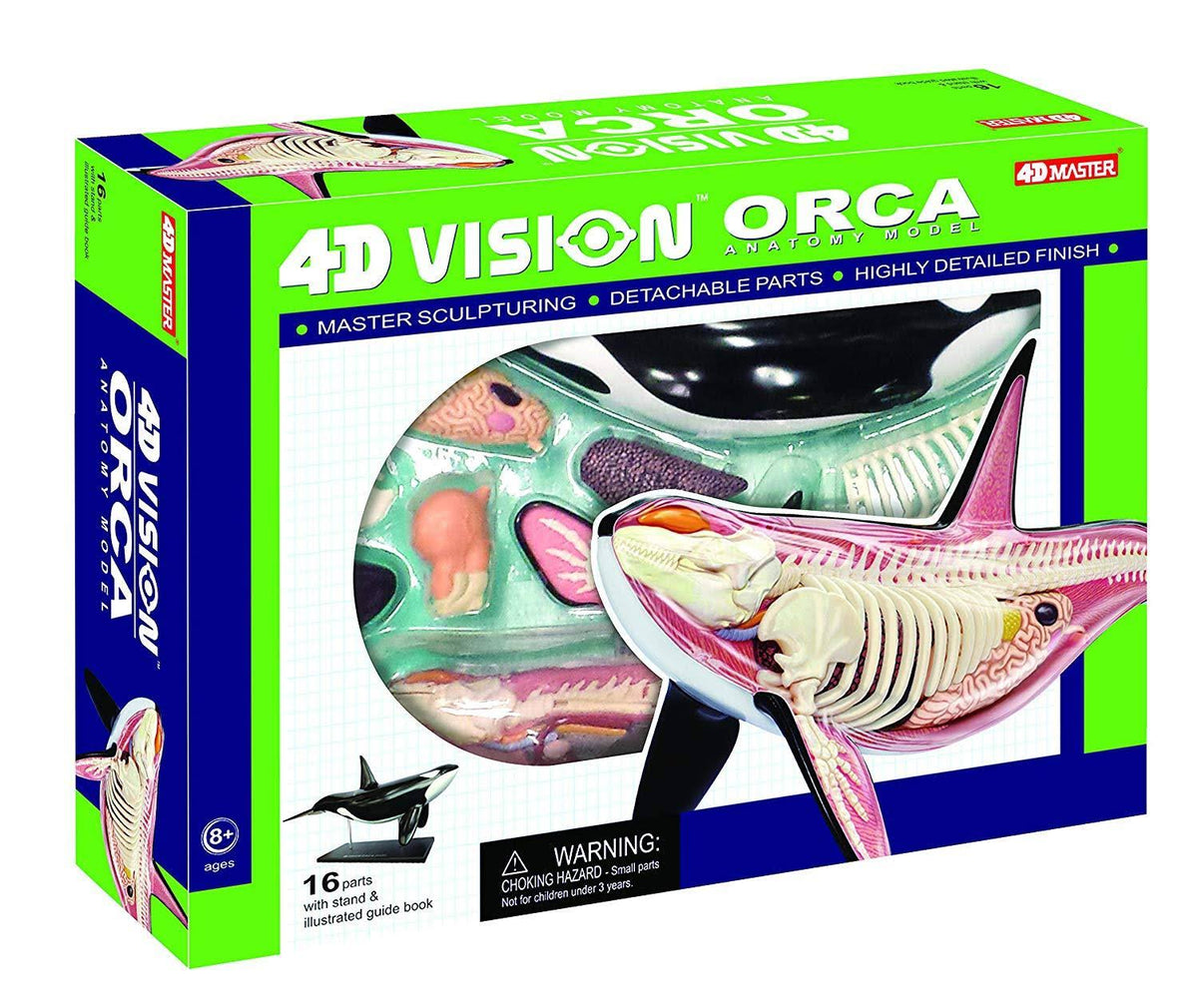 12.5 inch 4D Orca Anatomy Model with 16 Detachable Parts A888020