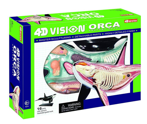 12.5 inch 4D Orca Anatomy Model with 16 Detachable Parts A888020