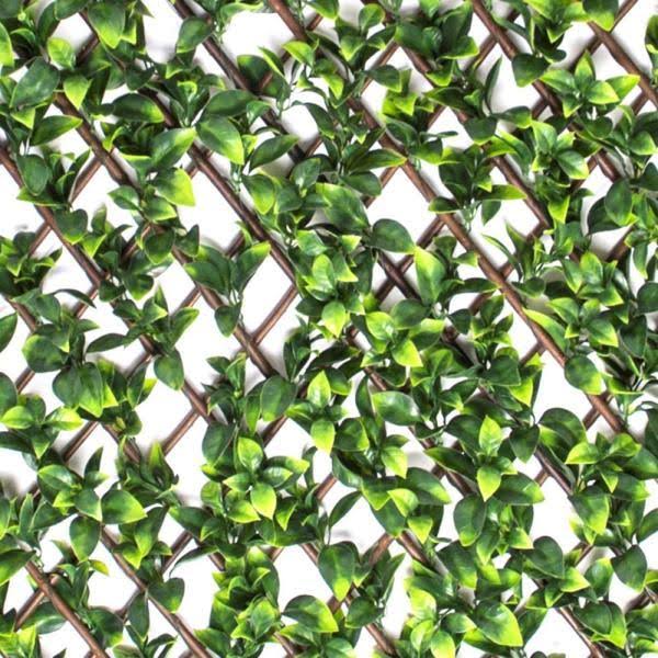 Expandable Willow Trellis with Gardenia Leaf (6-Pack) I293
