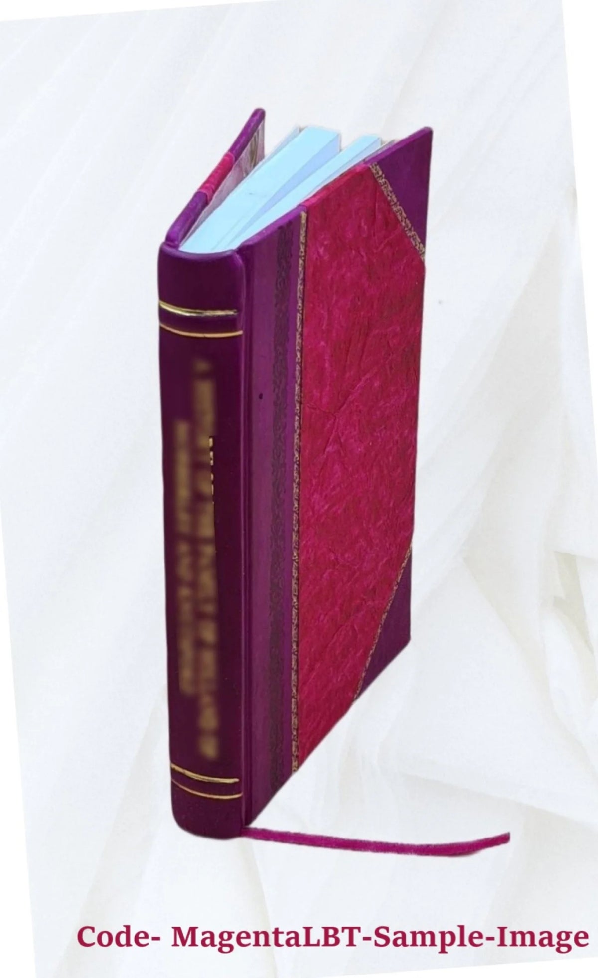 Leather Bound Book T69956