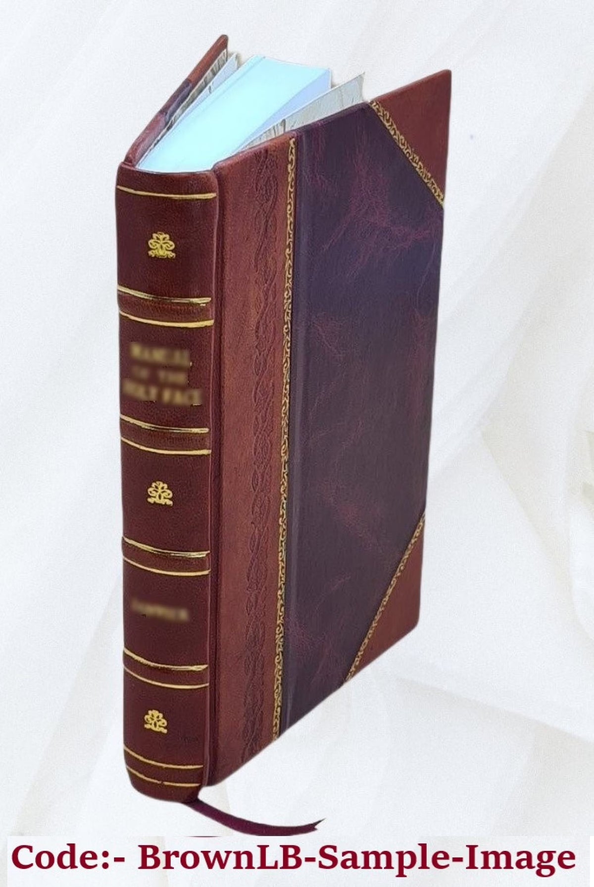 Leather Bound Novel A5747