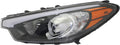 Halogen Headlight Assembly T579868