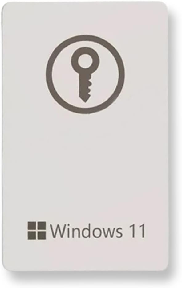 Windows 11 Pro USB Software L558629