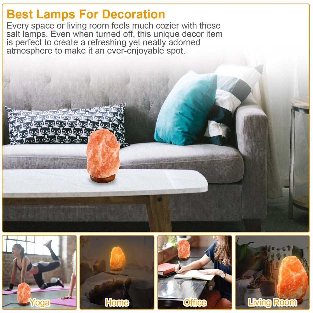 Salt Lamp with Dimmer Switch Hand Carved Table Lamp with Wood Base J601884