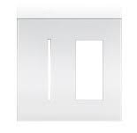 2 Gang Bright Brass Faceplate S5902