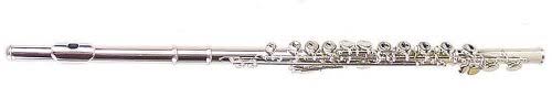 Closed 16-Hole Flute C178435