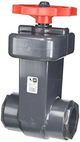 PVC Schedule 80 Gate Valves U863019