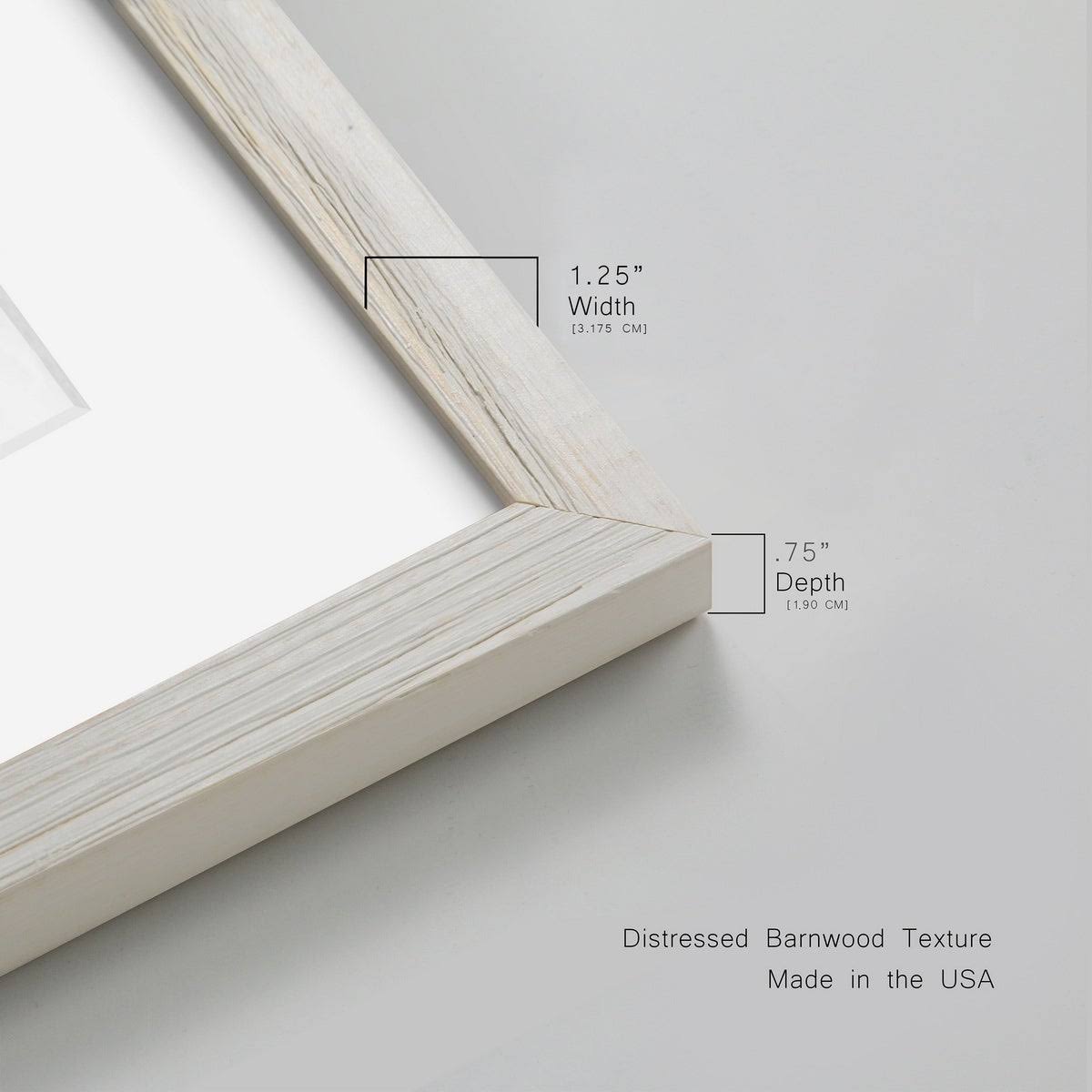 Premium Framed Print D8680