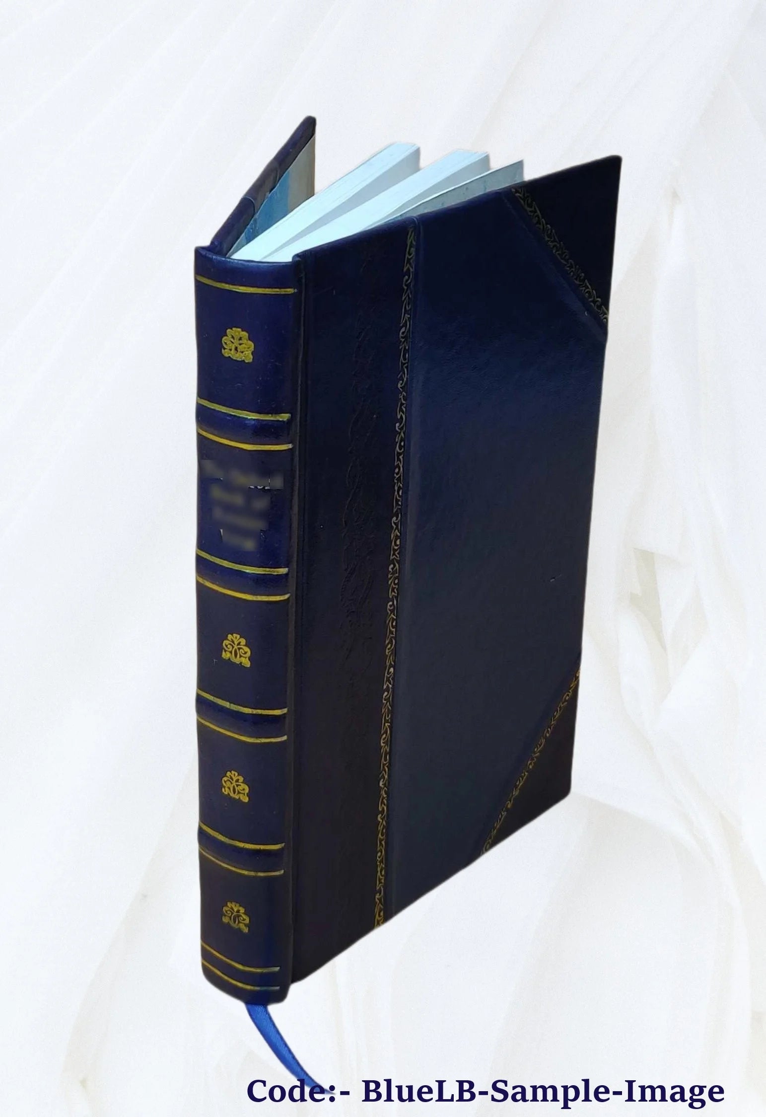 Leather Bound Novel A5747