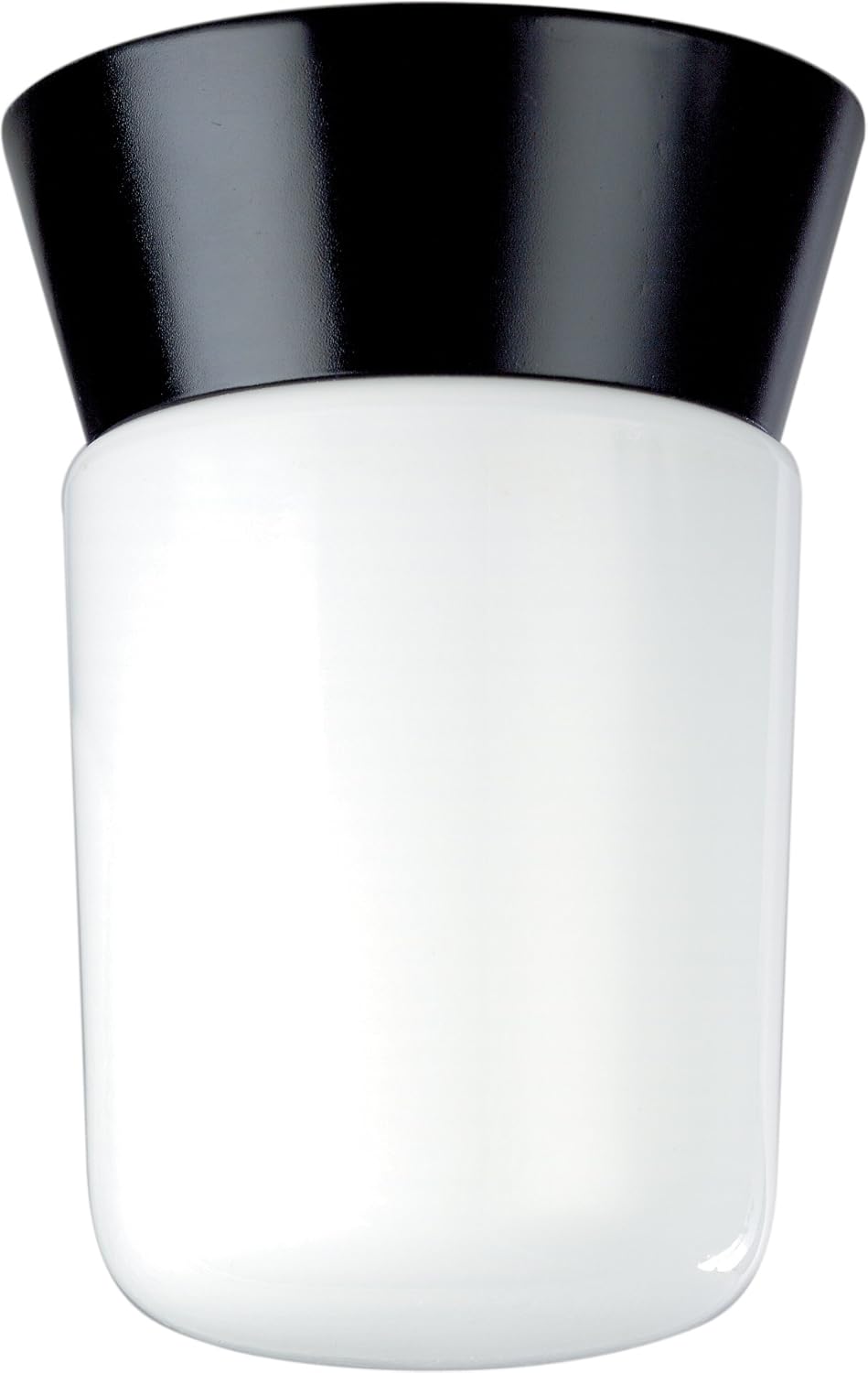 Satin Aluminum Outdoor Wall Mount Light with White Glass Cylinder F556