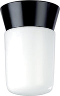 Satin Aluminum Outdoor Wall Mount Light with White Glass Cylinder F556