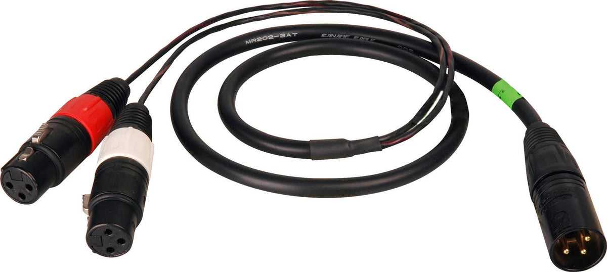XLR Male to 2 XLR Female 10ft Y-Cable F740276