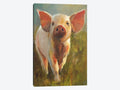 Morning Pig Canvas Art T215