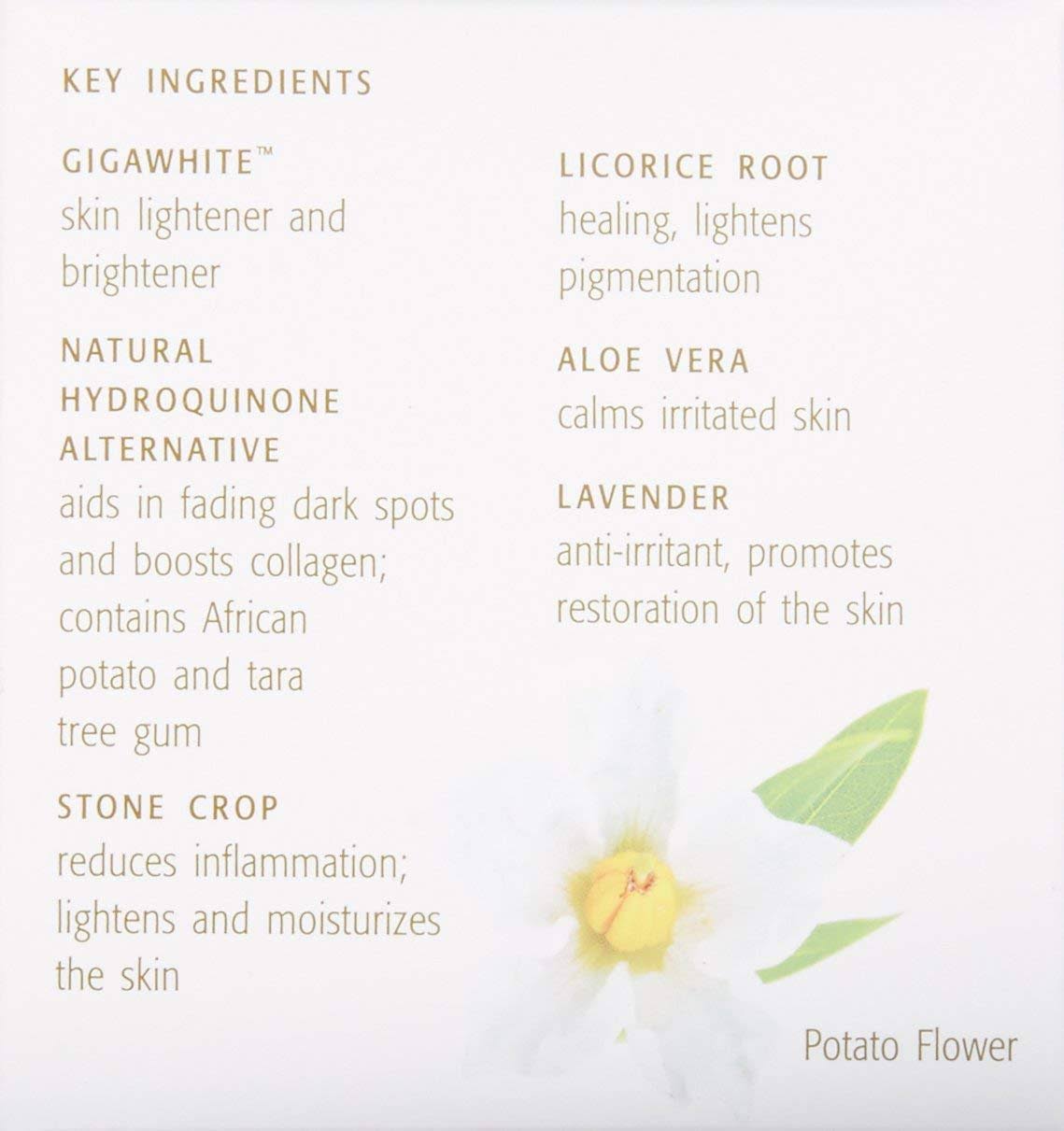 Bright Skin Masque - 2 oz L751326