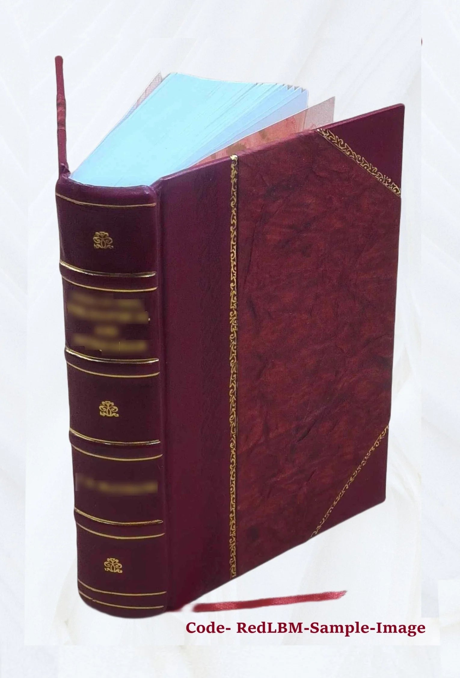 Leather Bound Bible G7413