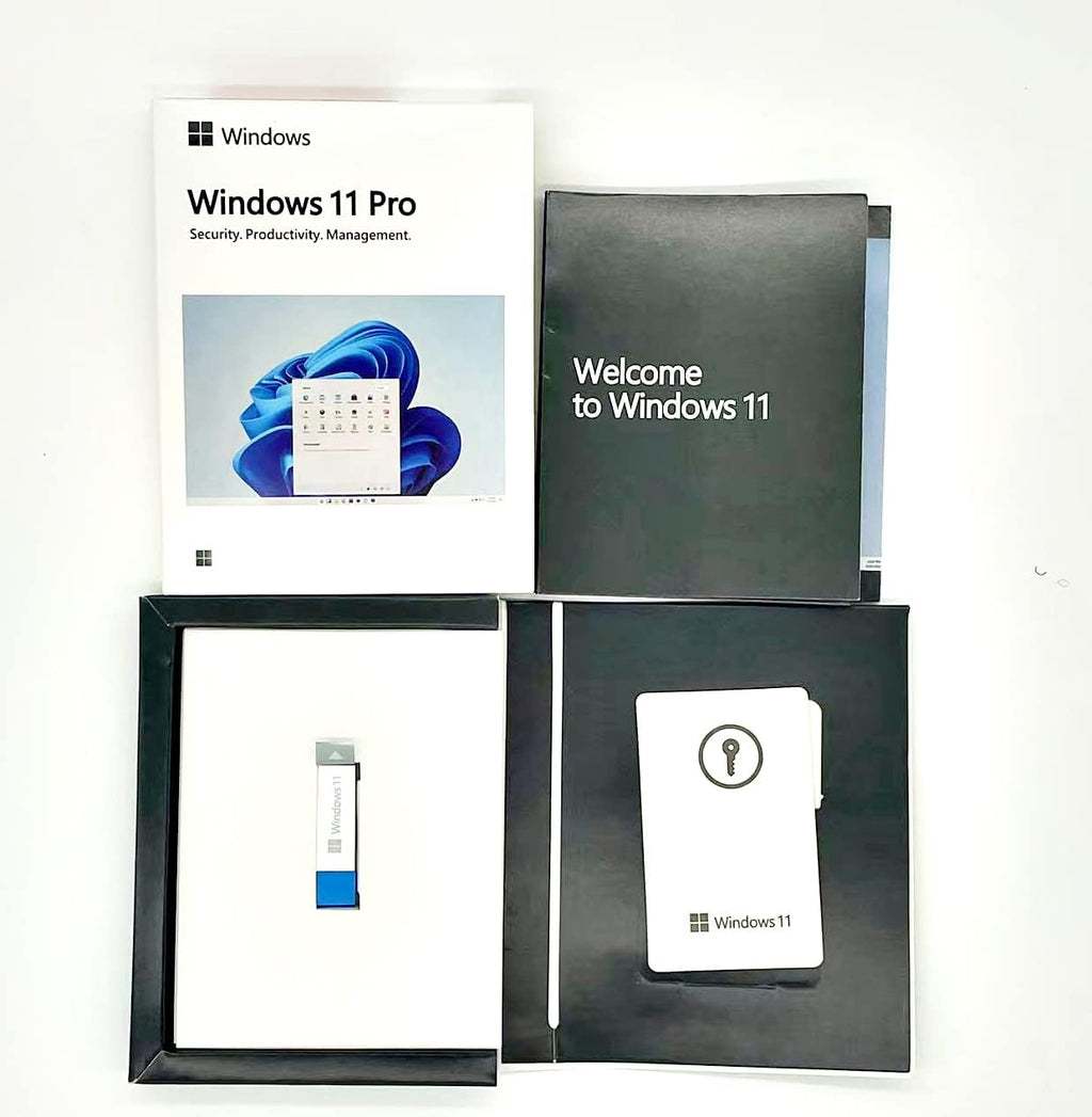 Windows 11 Pro USB Software L558629