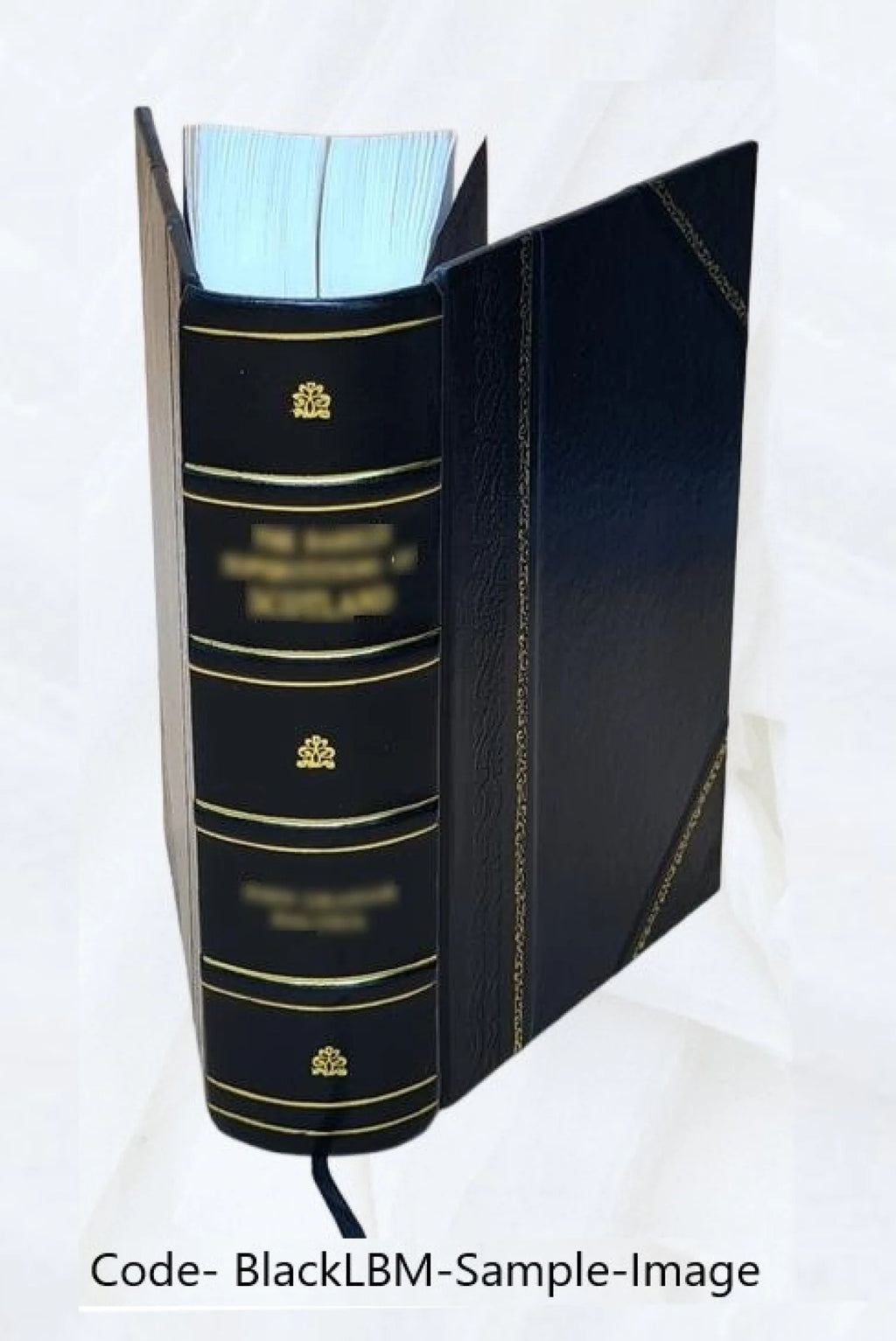 Leather Bound Bible G7413