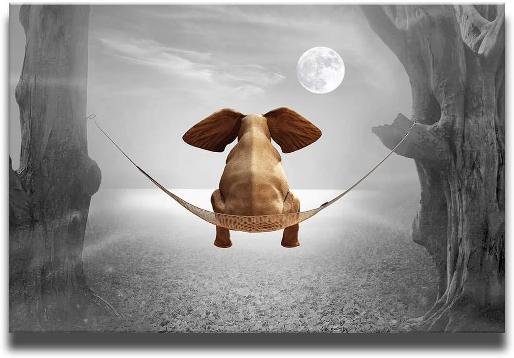 Black and White Elephant Canvas Wall Art 40x60cm D3764