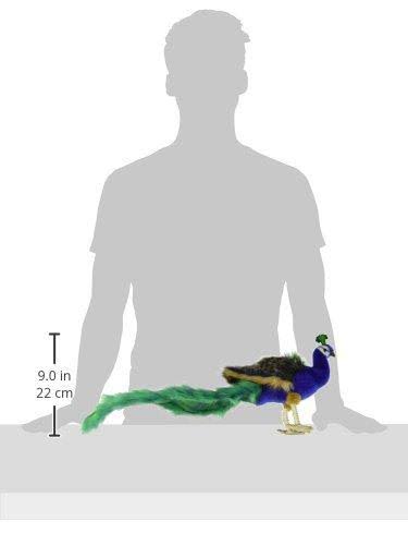 Peacock Plush Animal Toy N37178