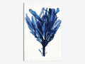Indigo Ocean IV Canvas Art G468434