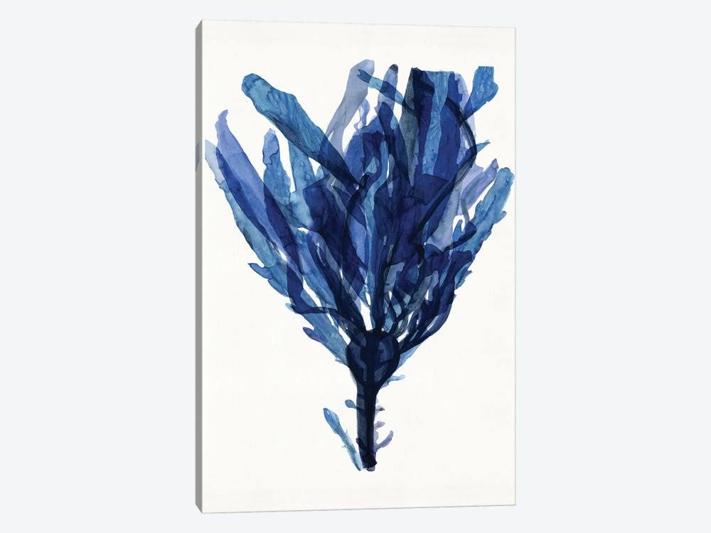 Indigo Ocean IV Canvas Art G468434