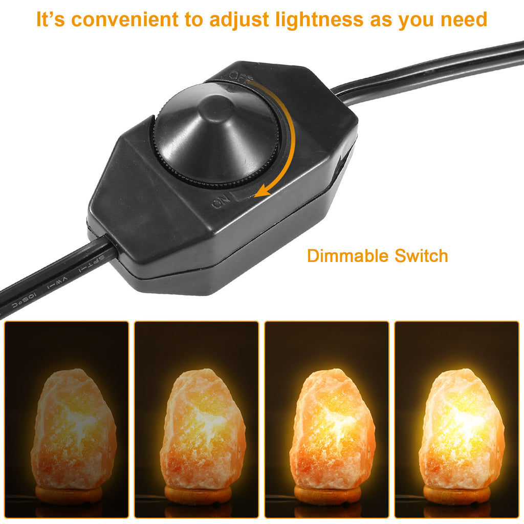 Salt Lamp with Dimmer Switch Hand Carved Table Lamp with Wood Base J601884
