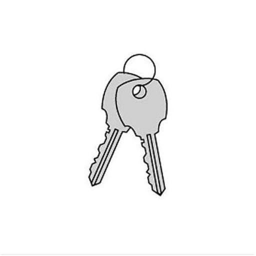 Key Blanks for Built-in Key Locks, Box of 50 T191