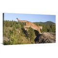 Mountain Lion Jumping Art Print U11796