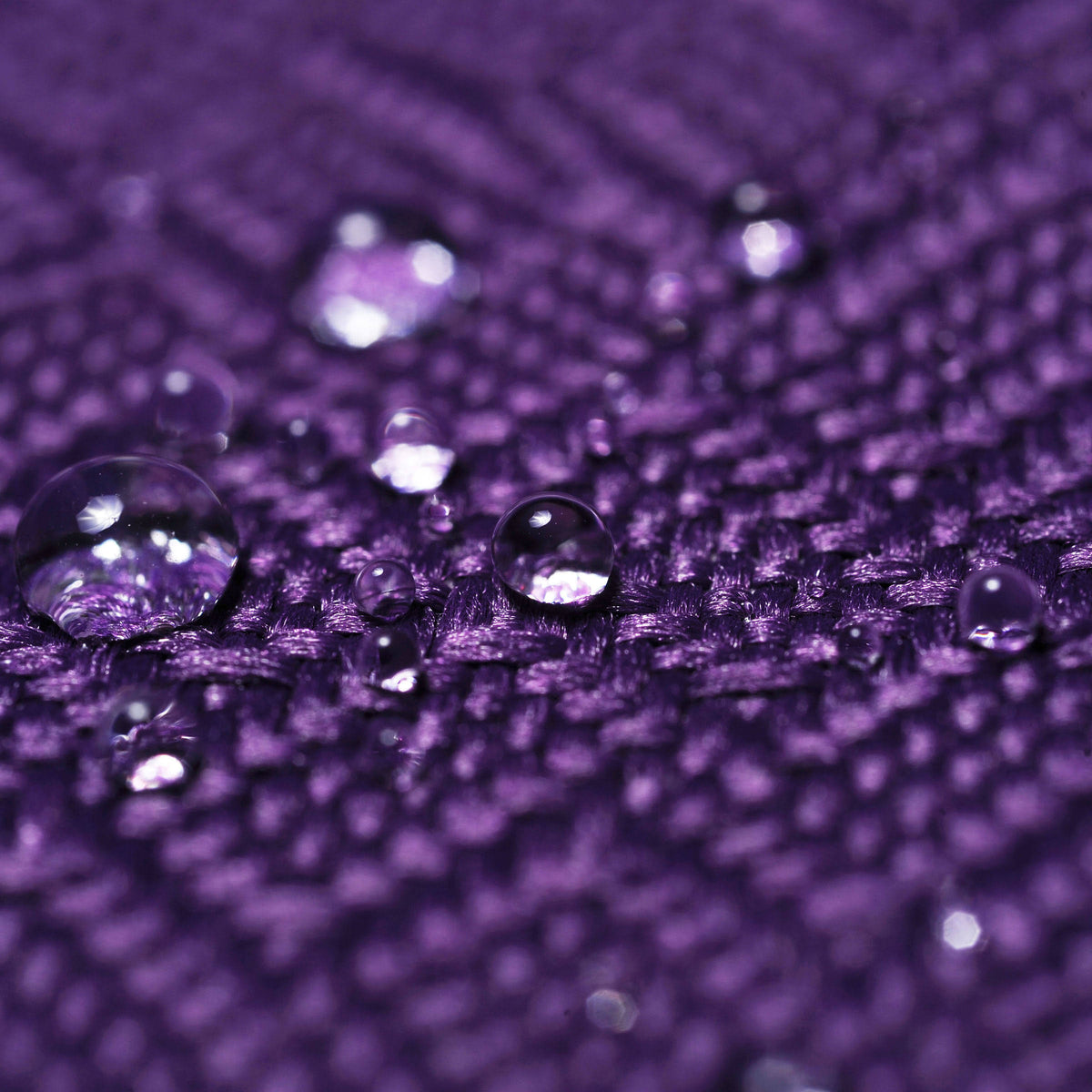 Purple Black Standard Neck Lite Q688