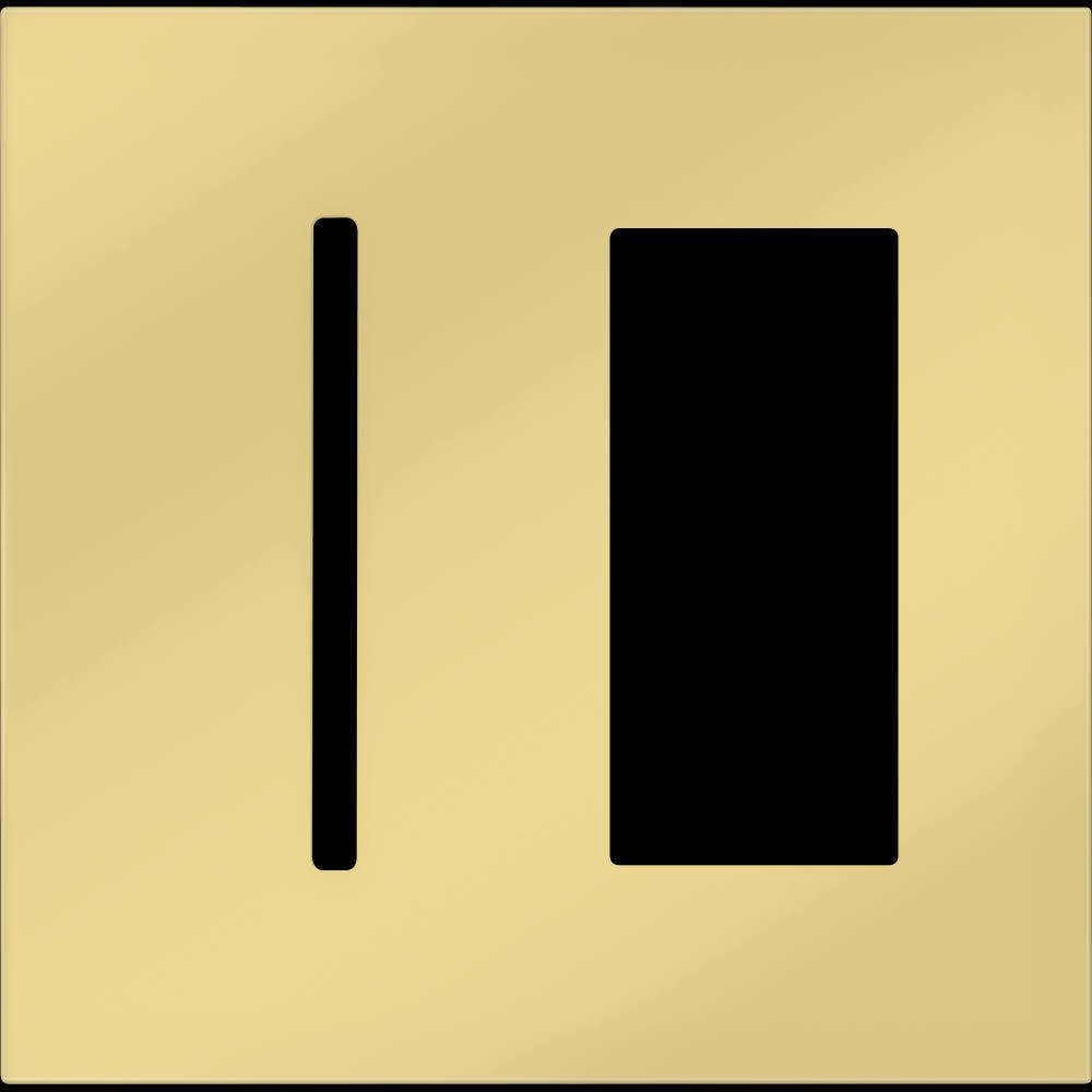 2 Gang Bright Brass Faceplate S5902