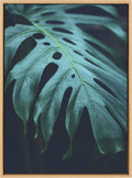 Tropical Frond Framed Canvas Wall Art, 23x33 Natural D590