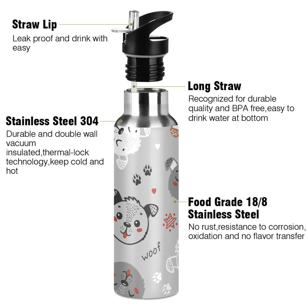 Insulated Stainless Steel Water Bottle with Straw Lid 20 oz A3893