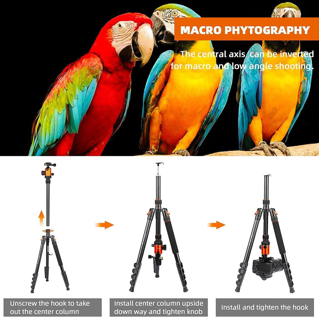 Aluminum Tripod with 360 Degree Ball Head R98944