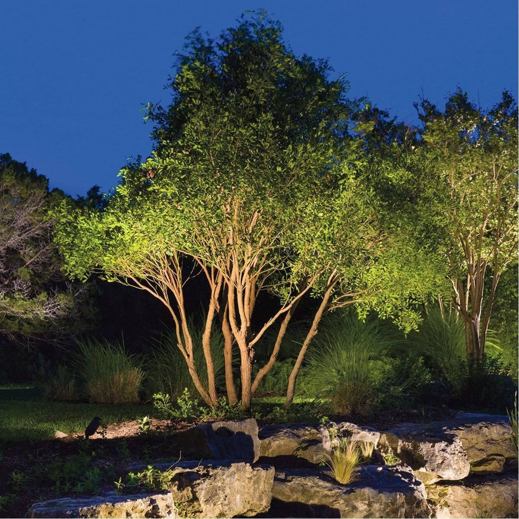 Textured Black Landscape Light Y8512