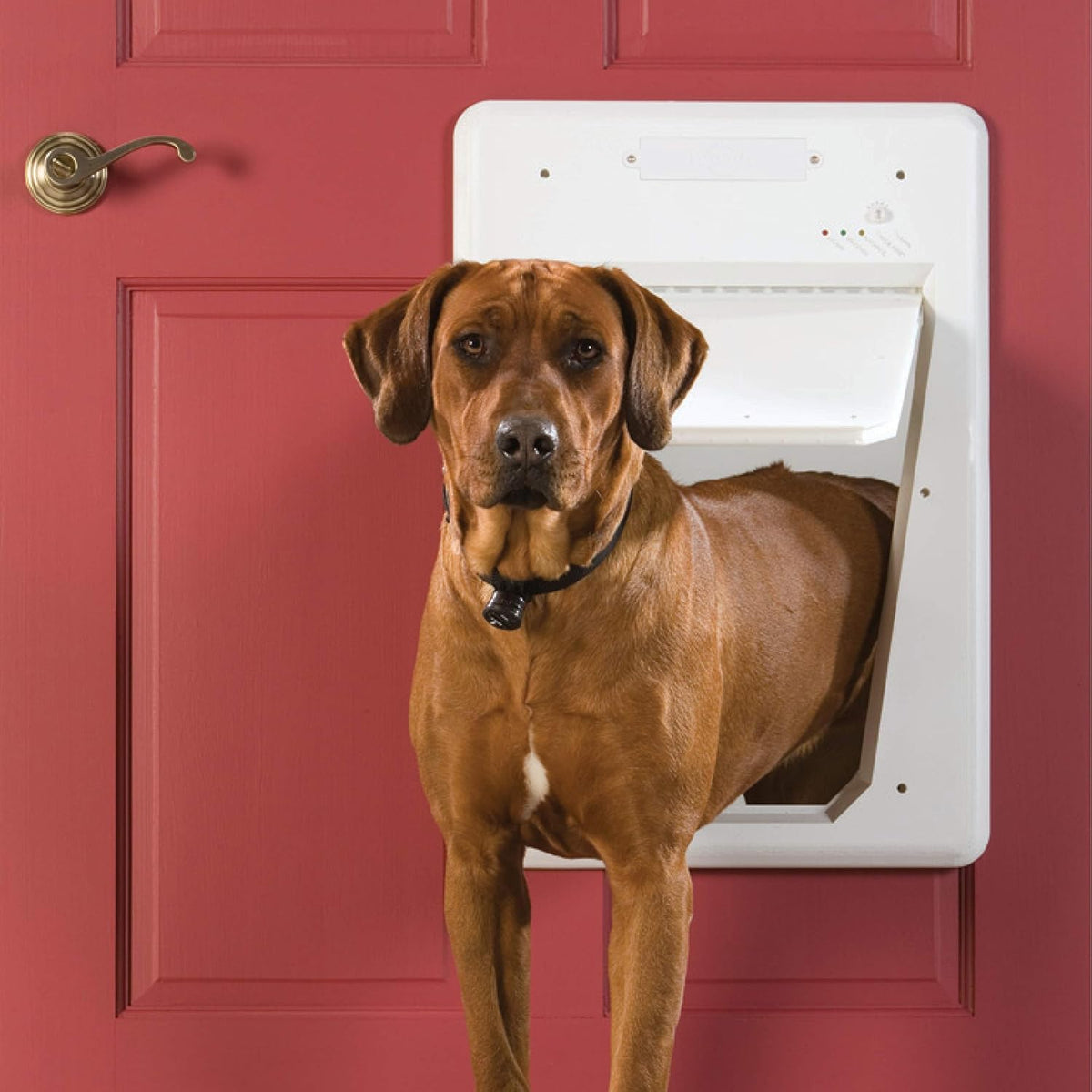 SmartDoor for Dog and Cat Door C9977